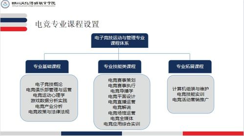 電子競技運動與管理專業介紹 電子商務平臺開發及運營方向