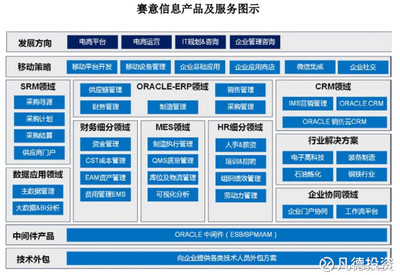 新股簡析 賽意信息（300687）——電子商務平臺開發及運營的潛力股